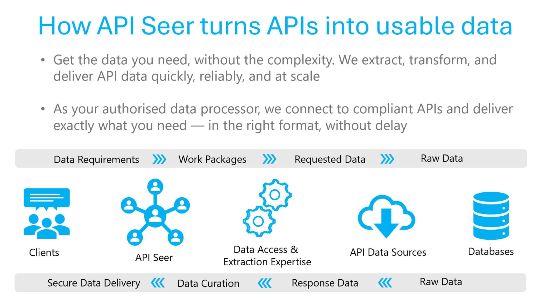API Seer - Data Extraction Process